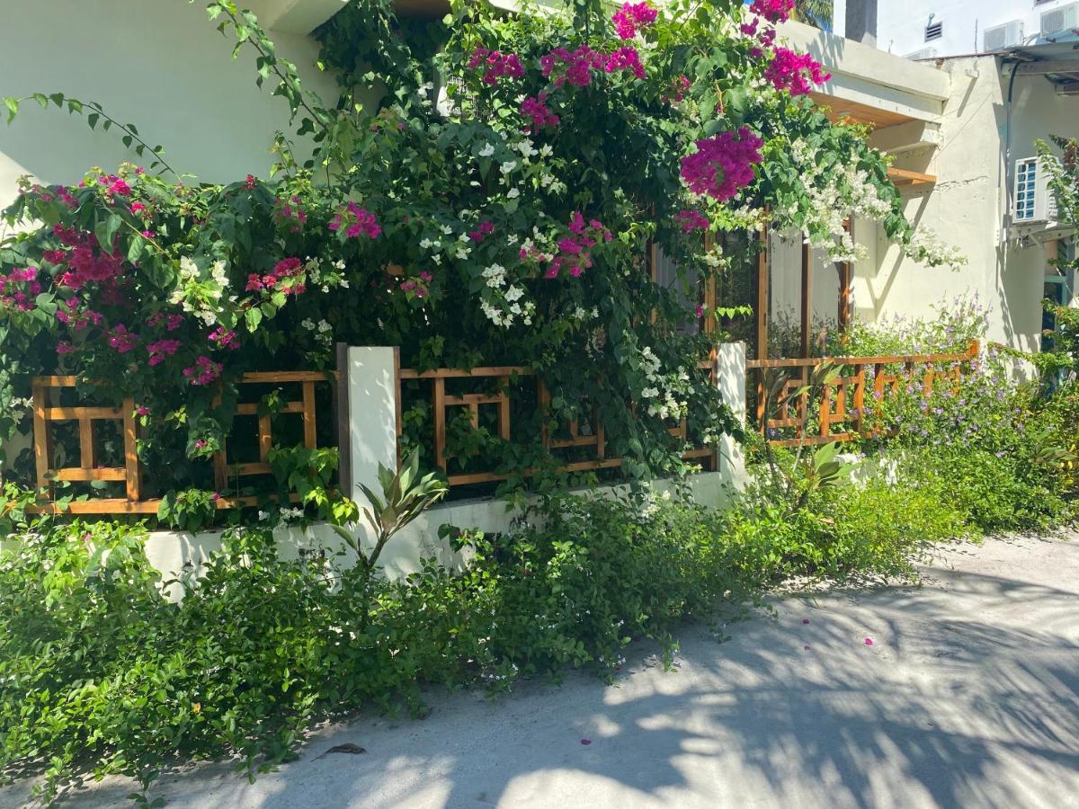 Bougainvillea Inn - Maldives Fulidhoo Kültér fotó
